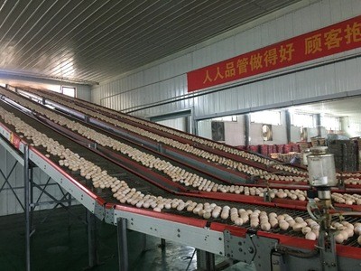 【晋龙鲜鸡蛋】可生食无菌鸡蛋礼盒装图2