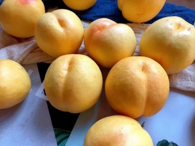 供应 【蒙阴黄金油桃】图5