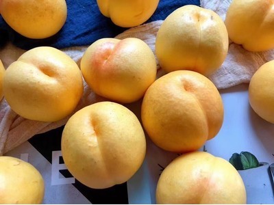 供应 【蒙阴黄金油桃】图3