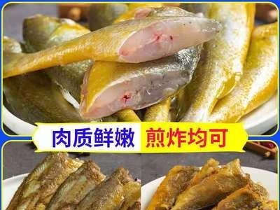 野生黄花鱼新鲜冷冻海捕黄鱼舟山小黄鱼海鲜水产批发鲜活包邮图5