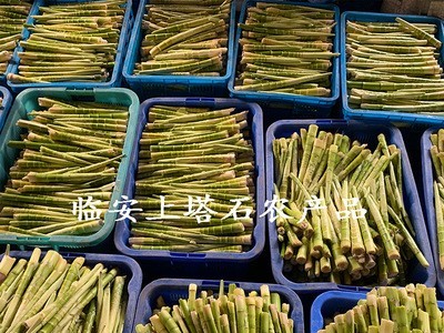 速冻保鲜笋新品临安土特产农产品天目山笋干冷冻笋野山笋厂家批发图3