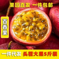 紫皮百香果当季新鲜热带水果西番莲5斤装甘甜大果百香果批发