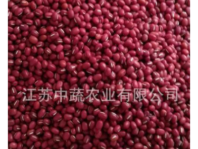 常年供应红豆粉 赤豆粉 小红豆粉 赤小豆粉 红小豆粉 熟红豆粉图2
