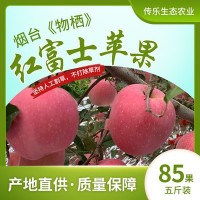 当季新鲜水果量大从优山东烟台产地直供红富士苹果批发85果5斤装