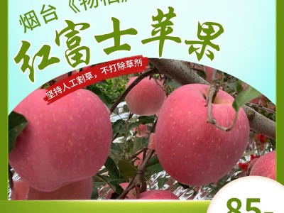 当季新鲜水果量大从优山东烟台产地直供红富士苹果批发85果5斤装图4