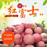 烟台红富士80果10斤装新鲜苹果产地直销农家新鲜脆甜水果批发