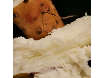 批发零售温县垆土铁棍山药批发零售同泽绿色礼盒净重6斤一盒起邮图3