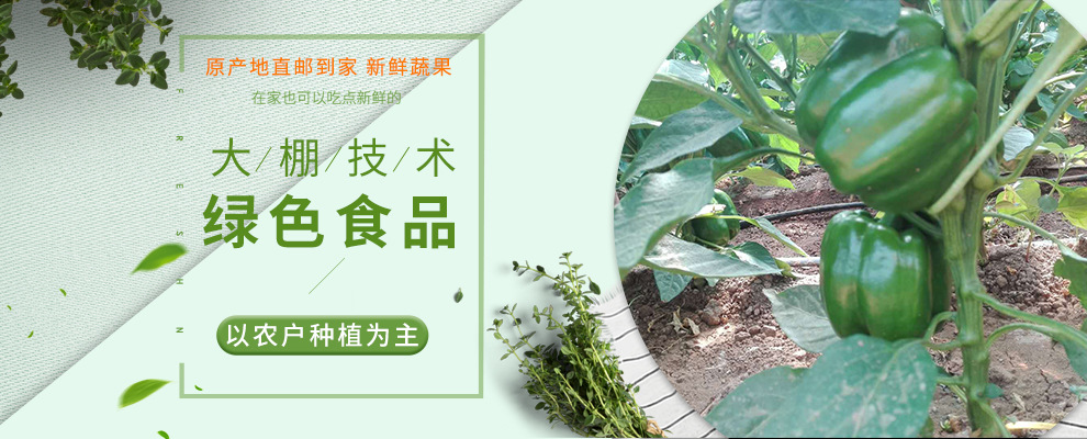 banner-官网