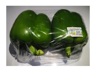 新鲜青椒甜椒绿色蔬菜批发圆椒灯笼椒山西青椒厂家批发图3