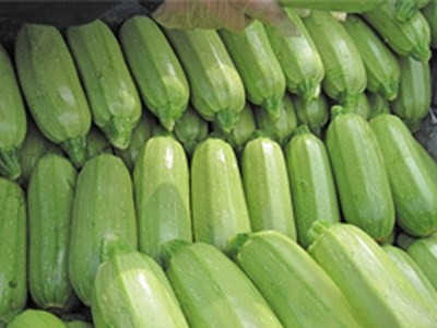 新鲜蔬菜农家种植现摘现发脆嫩新鲜绿色食用农产品西葫芦图2