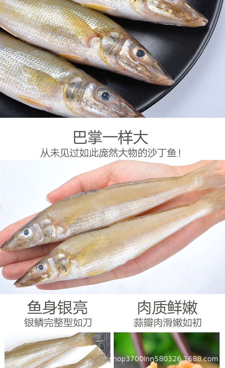 沙丁鱼详情页_04.jpg