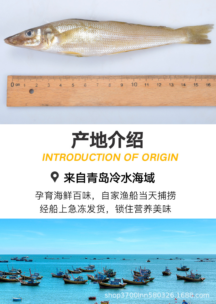 沙丁鱼详情页_06.jpg