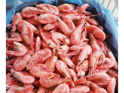 加拿大北极甜虾腹籽熟甜虾即食冻虾产地直采厂家直供餐饮海鲜批发图4
