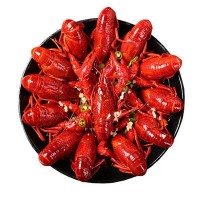 麻辣小龙虾盒装加热即食速冻小龙虾非鲜活龙虾尾调料批发700g/盒