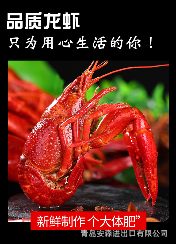 未标题-1_06.jpg