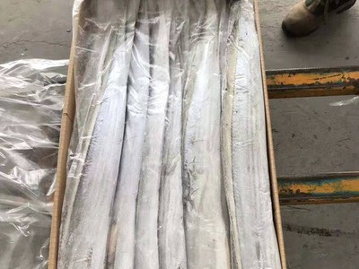 连云港带鱼冷冻海鲜厂家直销一件代发小眼野生刀鱼带鱼图4
