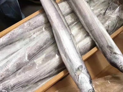 连云港带鱼冷冻海鲜厂家直销一件代发小眼野生刀鱼带鱼图5