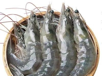 纯野生海洋大对虾 盐冻大虾4斤装40/50 50/60 冻虾冷冻鲜活大对虾图4