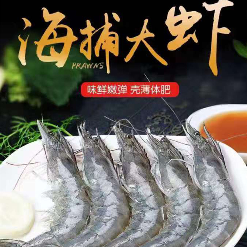 未标题-12
