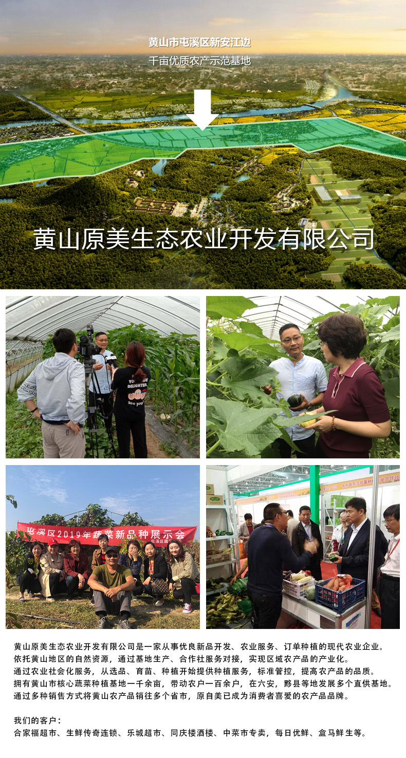 详情公司部分