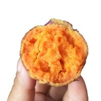 黄山西瓜红蜜薯甜糯绵软无筋-精品装/5斤/箱