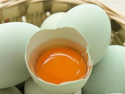 深子湖绿壳鸡蛋农场基地直发初生鸡蛋农家新鲜鸡蛋蒸蛋乌骨鸡蛋图4