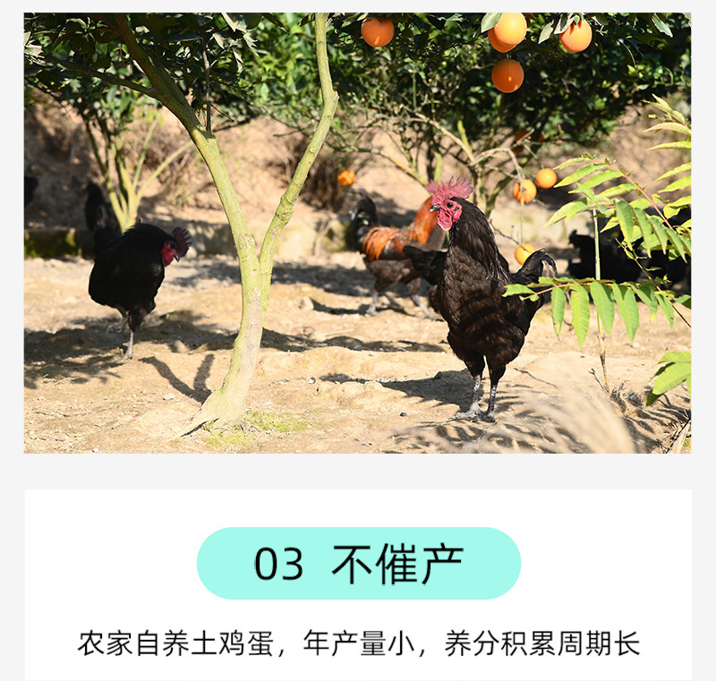 详7.jpg