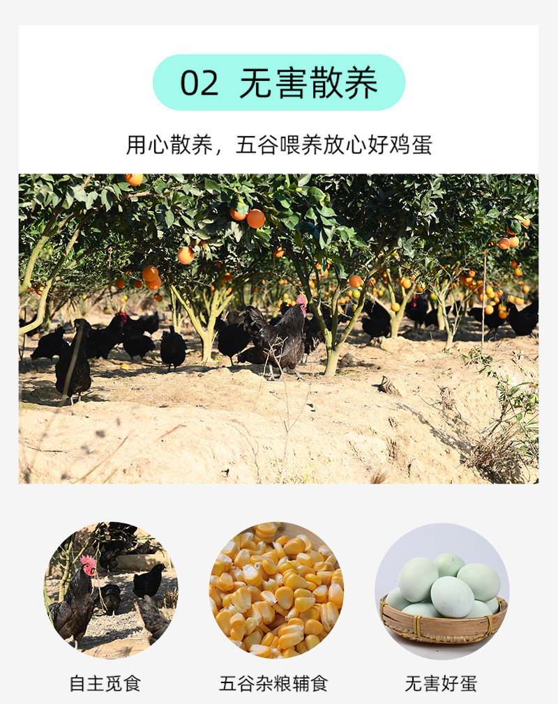 详6.jpg