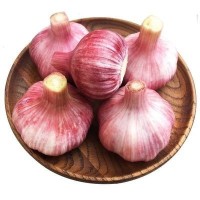 【鲜蒜】10斤现挖鲜蒜湿大蒜腌糖醋蒜大蒜头紫皮嫩蒜新鲜湿蒜头