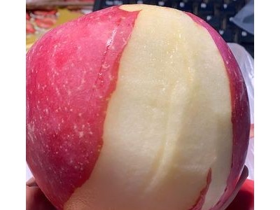 现货农产品烟台红富士苹果 水果捞用新鲜当季端正苹果 一件代发图2