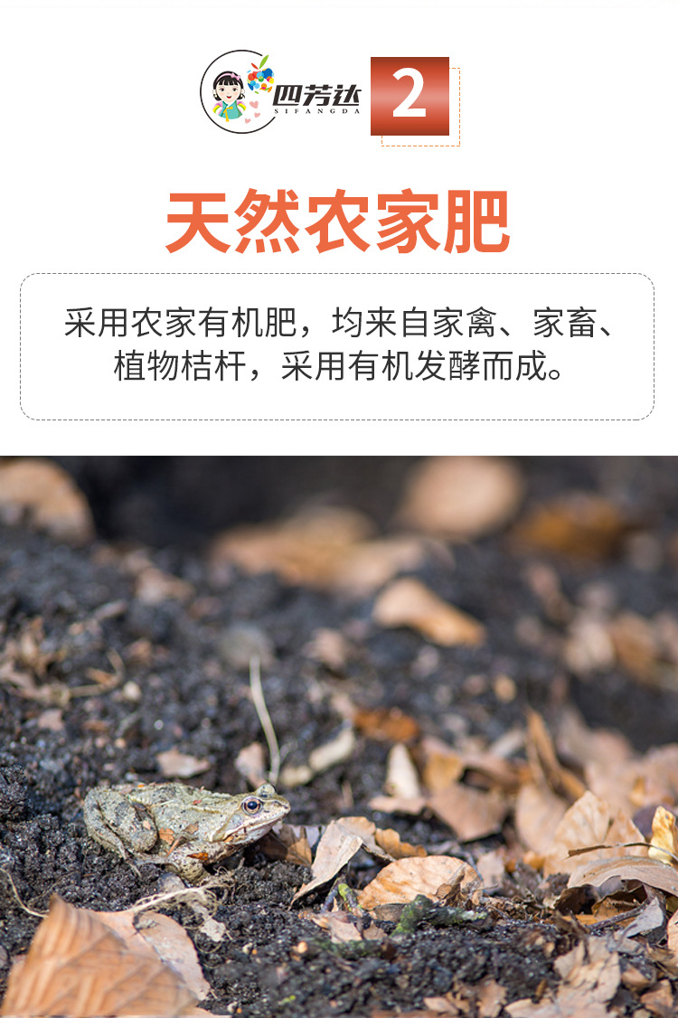 红富士1_08