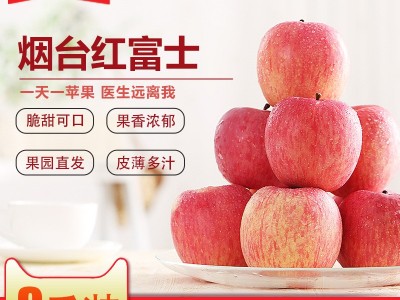 烟台红富士苹果果园大果刮泥辅食脆甜多汁整箱批发一件代发直供图3