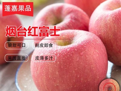 烟台红富士苹果瑕疵1斤装酒店榨汁苹果脆甜多汁整箱批发产地直发图2
