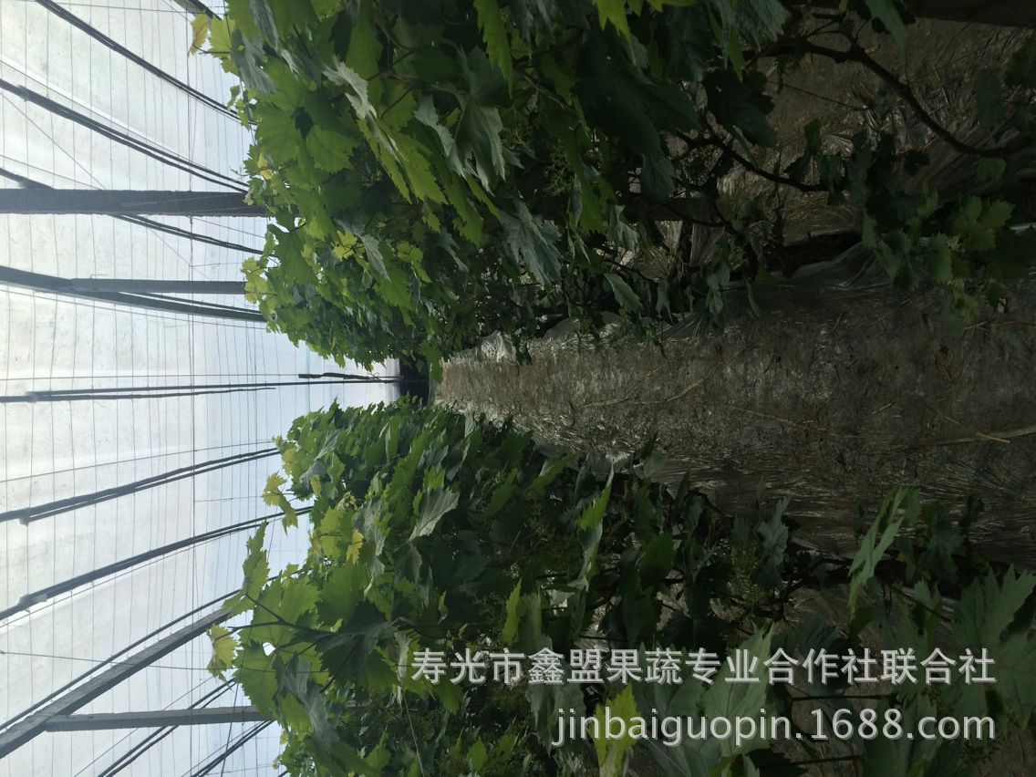 AEB173BC8804B9F622290010F5A538