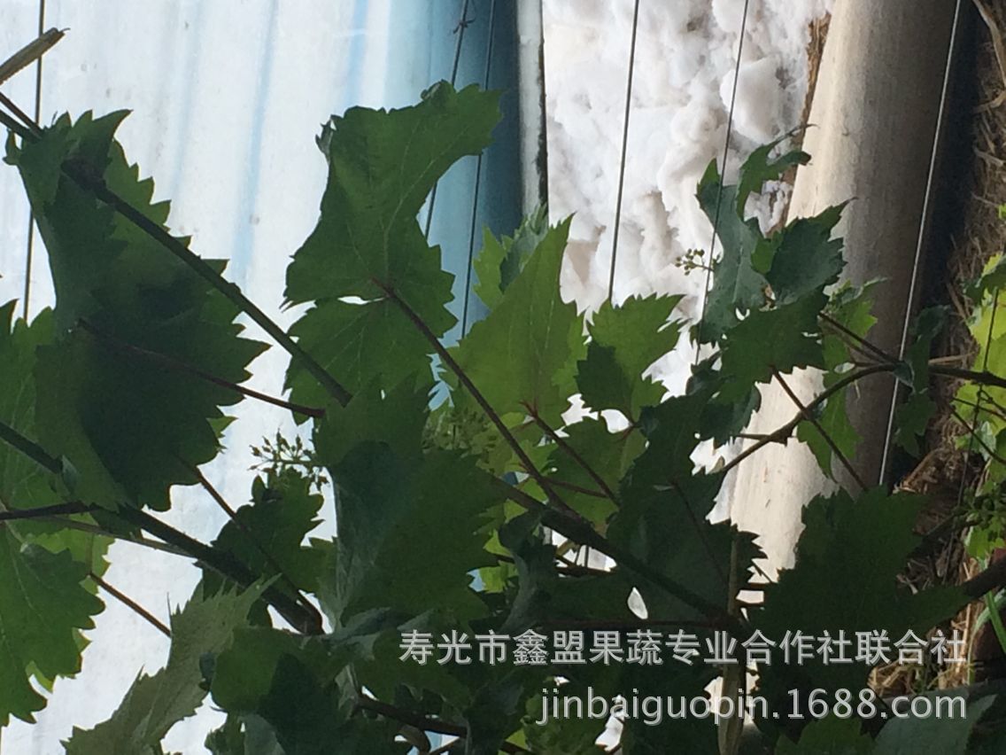 DAD705B9147A8B3C2A3CB768F930F6