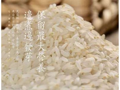 厂家供应天苗胚芽米 东北五常稻花香宝宝儿童粥米1kg 量大面议图5