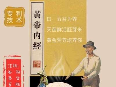 厂家供应天苗胚芽米 东北五常稻花香宝宝儿童粥米1kg 量大面议图3