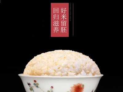 厂家供应天苗胚芽米 留胚米东北五常稻花香 5KG礼盒装 量大面议图4