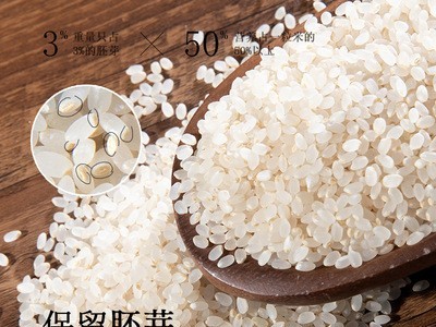 厂家批发天苗胚芽米 健康营养宝宝粥米饭 留胚米 支持贴牌 代加工图3