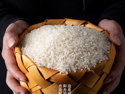 厂家批发天苗胚芽米 健康营养宝宝粥米饭 留胚米 支持贴牌 代加工图5