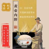 厂家批发天苗胚芽米 健康营养宝宝粥米饭 留胚米 支持贴牌 代加工