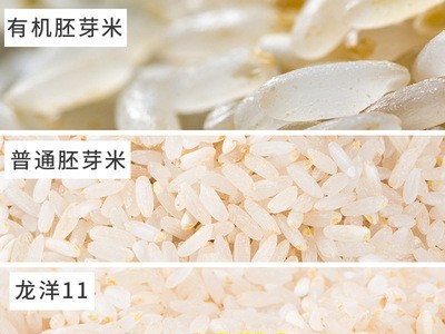 源头厂家专业oem贴牌 五常有机稻花香胚芽米优加双利代加工（价格面议）图4