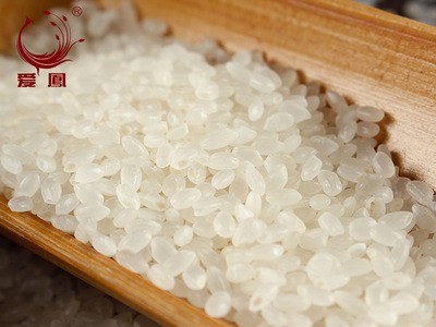 爱鳯 B级珍珠米圆粒香米米粒饱满10kg一箱 米 香米 大米 厂家批发图4