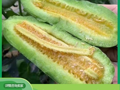 博洋61号羊角蜜包邮 脆甜多汁羊角蜜甜瓜 现摘现发可代发羊角蜜图4