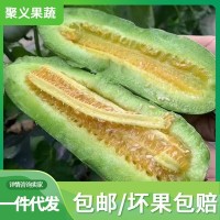 博洋61号羊角蜜包邮 脆甜多汁羊角蜜甜瓜 现摘现发可代发羊角蜜