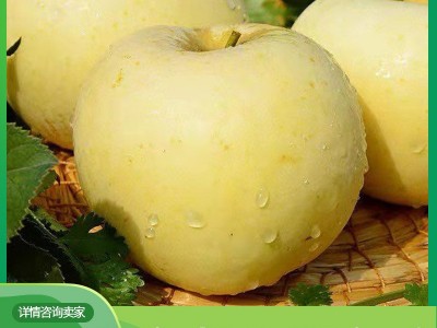 山东新鲜奶油富士5斤白苹果 新鲜奶油苹果水果整箱一件代发图3