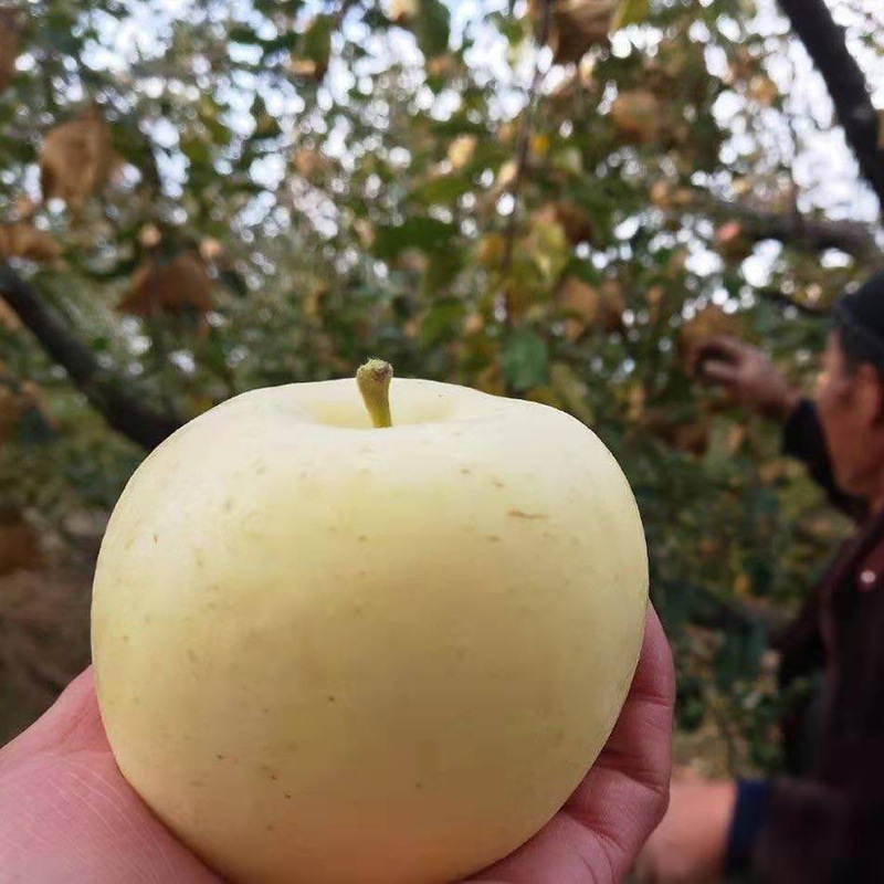 微信图片_202101181042549.jpg