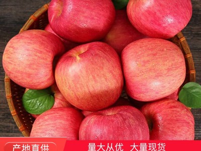 现货供应新鲜水果烟台红富士清香脆甜可口多汁冰糖心大果5斤装图5