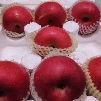 烟台苹果栖霞红富士一件代发新鲜脆甜水果批发全年供货
