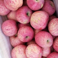 烟台苹果栖霞水晶红富士新鲜脆甜一件代发水果批发全年供货